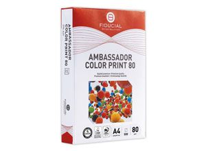Ramettes de 500 feuilles blanches A4 80g AMBASS. COLOR PRINT