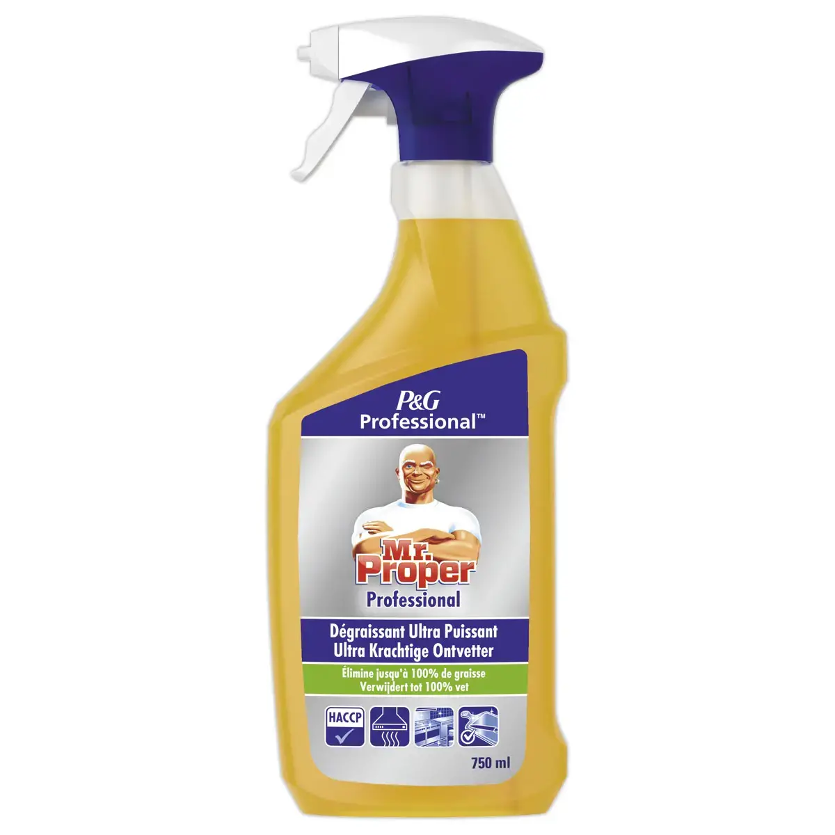 Spray nettoyant et dégraissant MR PROPRE Professional - 750 ml